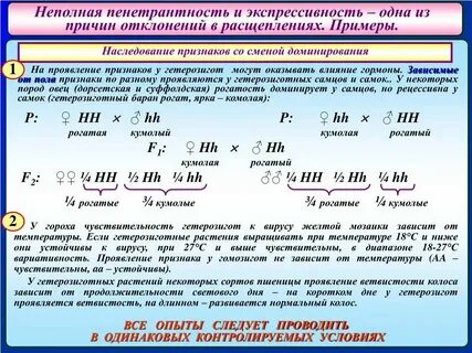 Пенетрантность это свойство гена