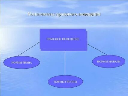 Дикое поведение