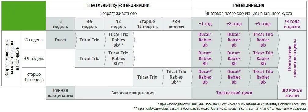 Прививки щенку Нобивак таблица. Нобивак схема вакцинации щенков. Вакцинация котят Нобивак схема. Схема прививки мультикан щенку. Прививки для щенков график