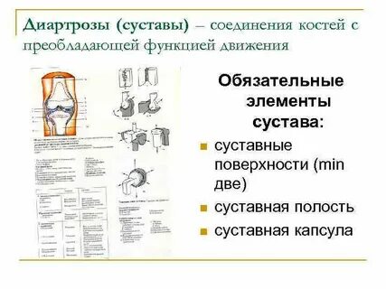 Объясните строение