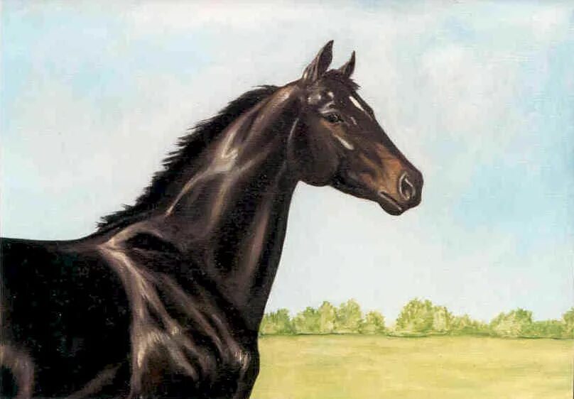 резвая фильм 2007. Ruffian певец. резвый скакун. Ruffian лошадь. резвая арабская лошадь.