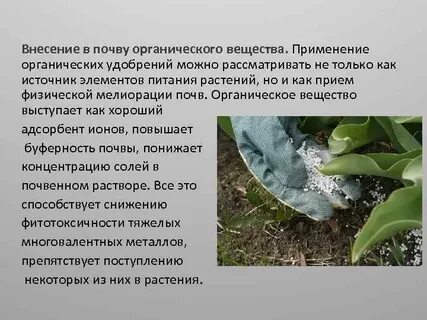 Органические растения