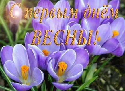 С первым весенним праздником картинки