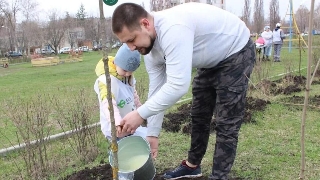 Высадка в белгородской области. Высадка деревьев Белгородская область. Патриотическая акция по высадке деревьев. День дерева. Сады памяти награждение.