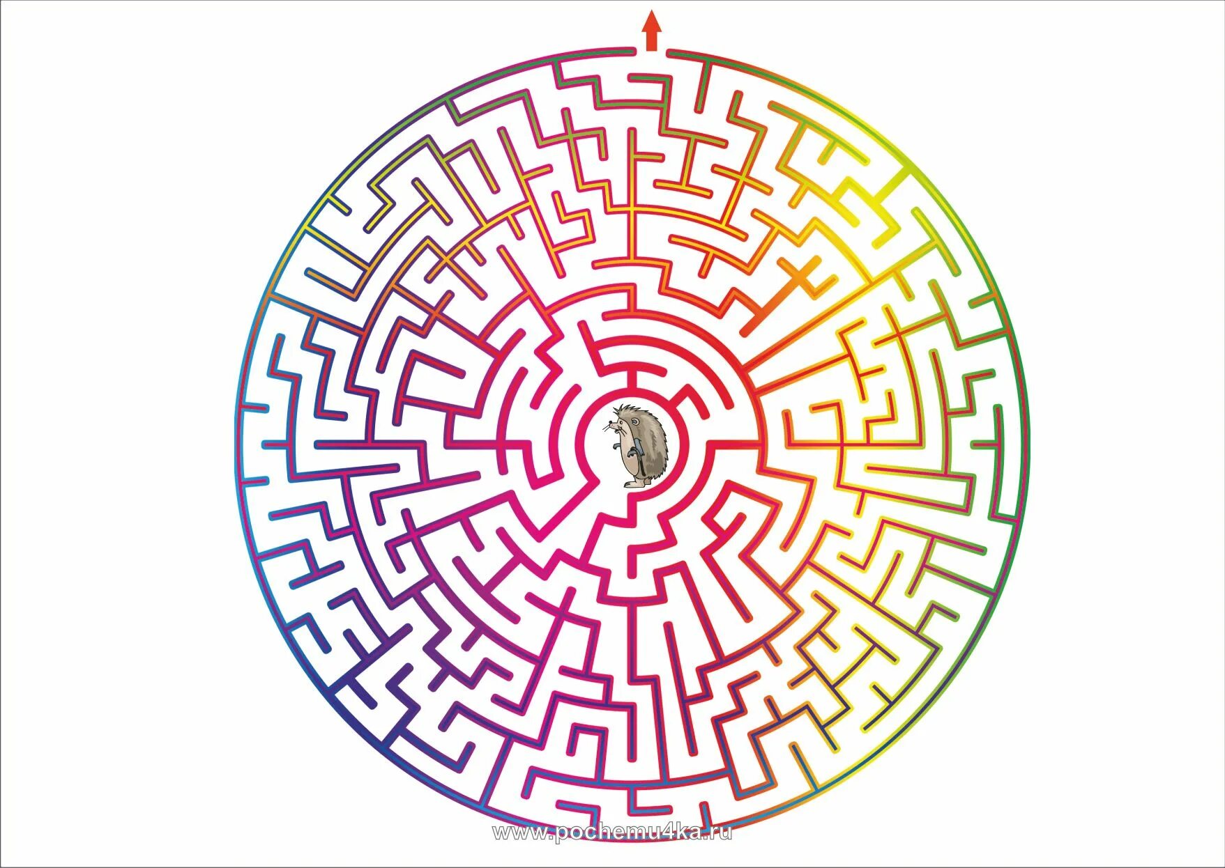 Лабиринт сложный. Раскраска лабиринт. Лабиринт для детей с котиком. Лабиринт прямоугольный. Схема лабиринта для детей.