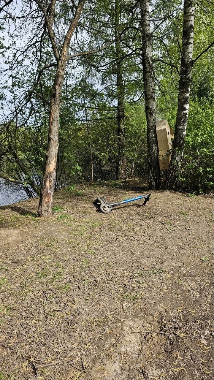 Стрелок в дрожжино. Школа успех дрожжино. Бутово парк 2б. Панорама 360 дрожжино. Черневский парк южное бутово.