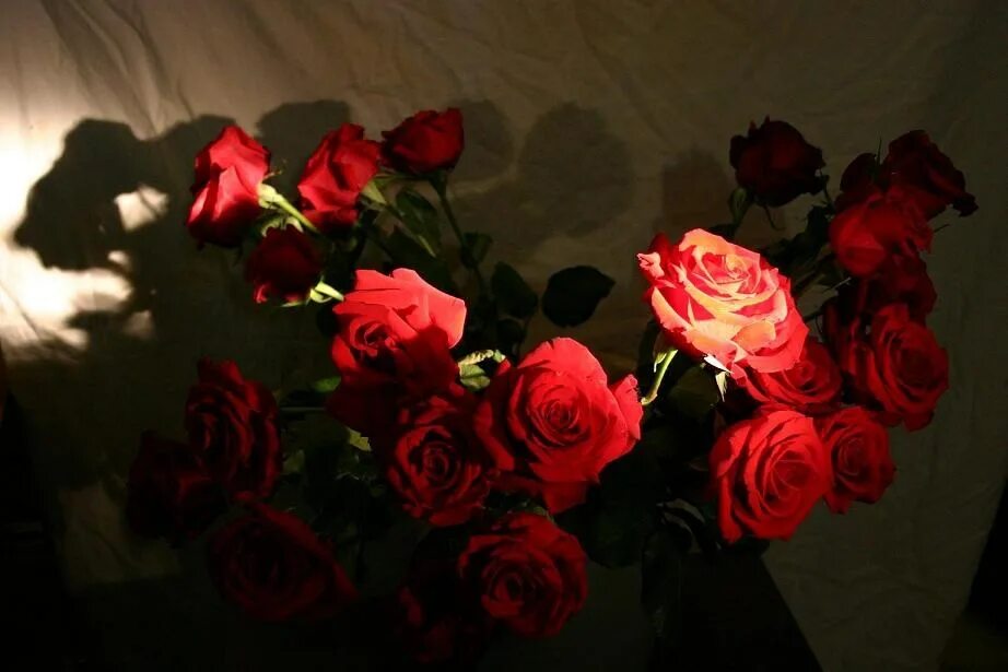 Букет роз ночью. Букет цветов в темноте. Букет роз в темноте. Букет роз красных ночью.