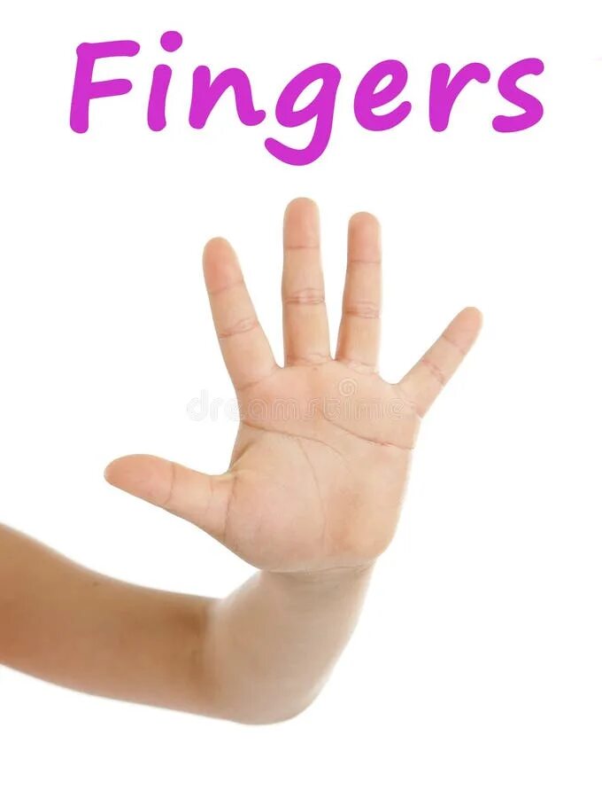 A hand is part of