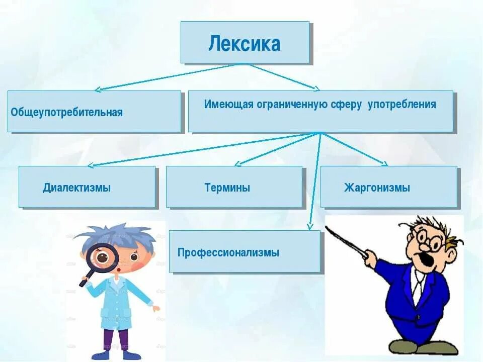 Лексика. Лексика ограниченного употребления. Общеупотребительная лексика. Общеупотребительная и ограниченная лексика.