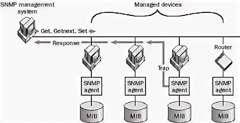 Net snmp. A simple Network.