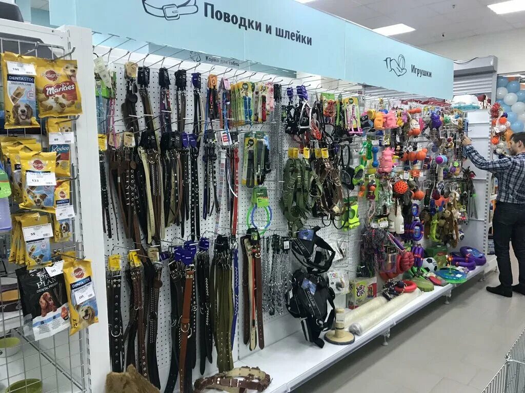 доктор холли старый. доктор холли старый. доктор холли старый. доктор холли старый оскол. хихикающий доктор фильм 2016.