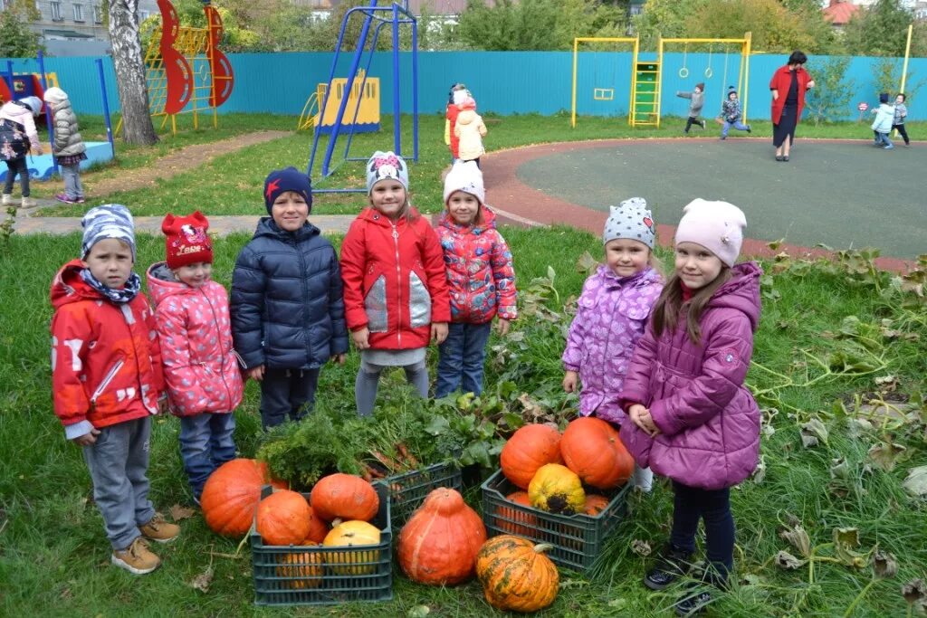 Урожай детский сад