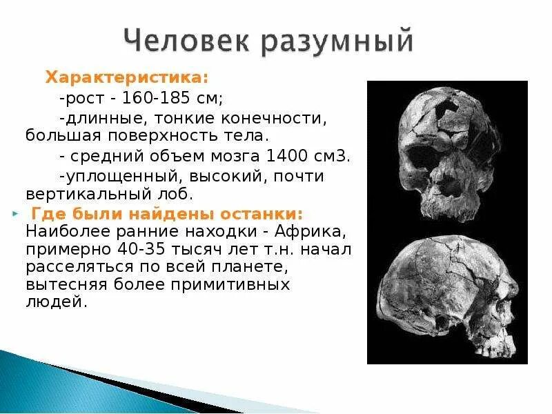 Мозгов рост вес. Хомо сапиенс объем мозга. Человек разумный рост и вес. Человек разумный рост вес объем мозга. Масса мозга человека разумного.