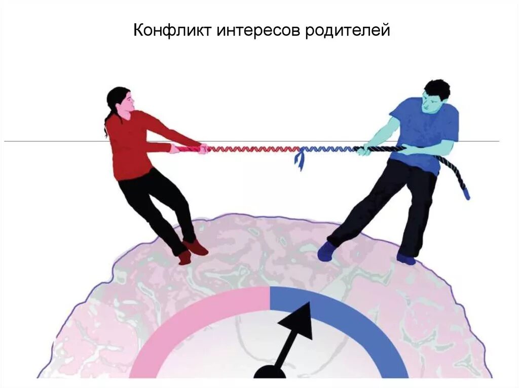 Сложение двух сил направленных по одной прямой. Равнодействующая сил перетягивание каната. Равнодействующая сила канат. Задача на перетягивание каната физика. Поручая сила