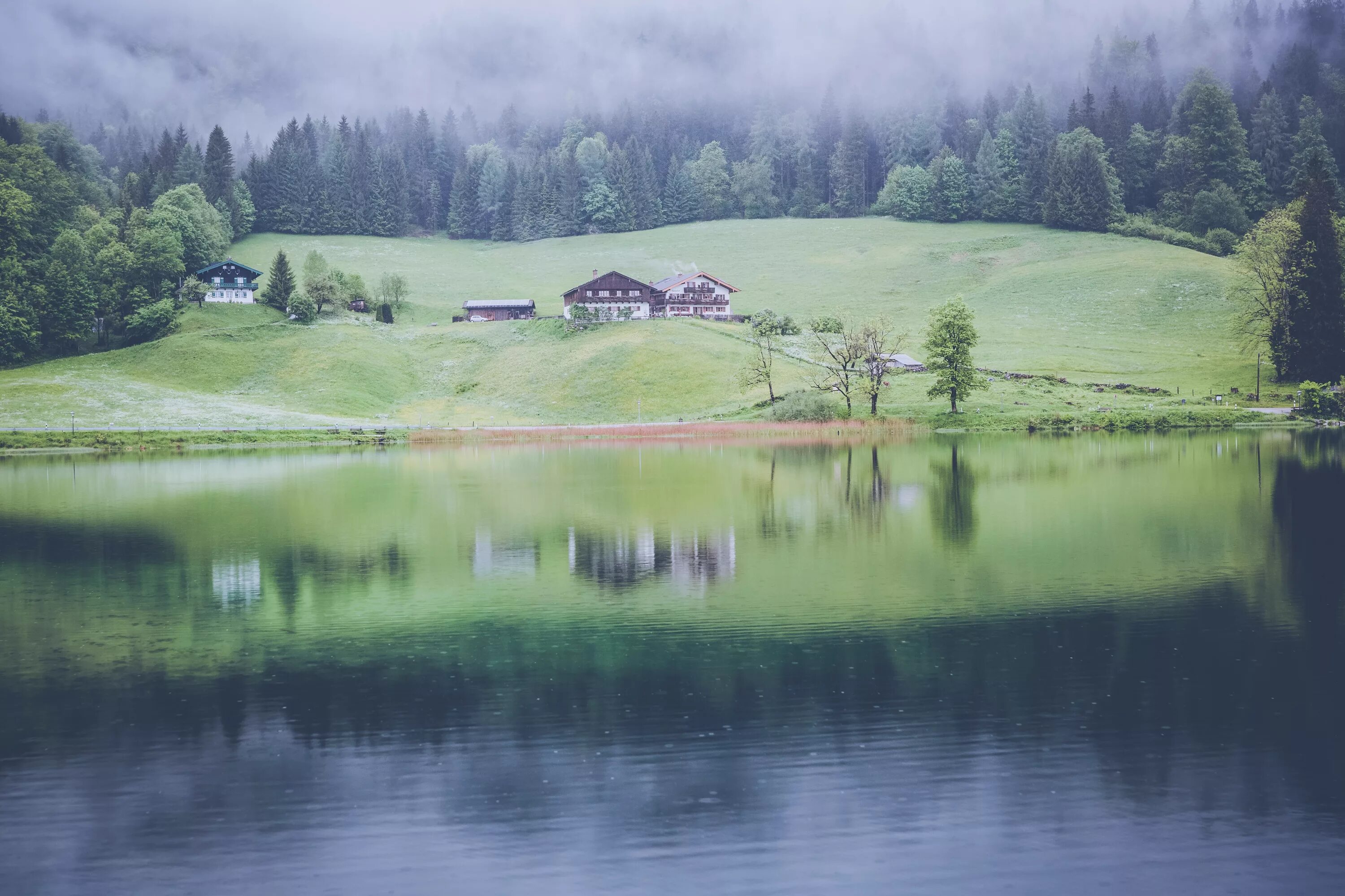 Луга река дом. Озеро Хинтерзее Австрия. Посёлок зелёный луг Сарбала. Озеро в деревне. Деревня озеро лес.