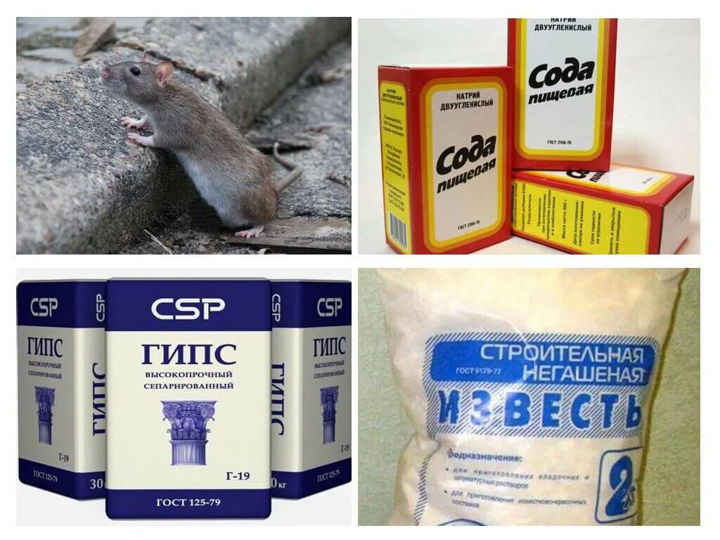 Препарат мыши. Таблетки от мышей. Яд для мышей. Отрава от мышей.