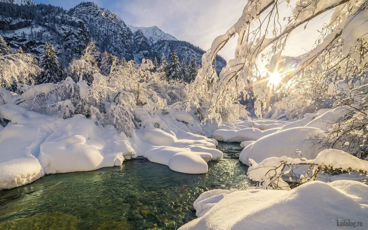 Где зима мягкая. Зимняя природа. Красота зимы. Красивая зима. Красота природы зимой.