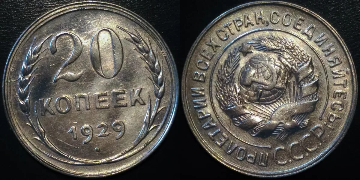 Стоимость монет 1929 года цена. 20,Коп 1929 год. 20 Копеек 1929. 50 Коп 1929 года. Монета 50 копеек 1929 г в.