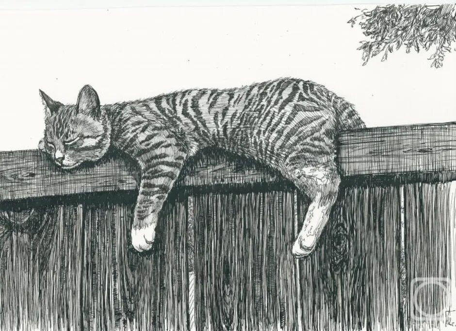 Кошка на заборе. Вечером коты всех мастей берут. Собираются под связкой тип словосочетания. Маленький дом где я живу заслуживает описания. Три кота на шкафу в реальной жизни в доме черным.