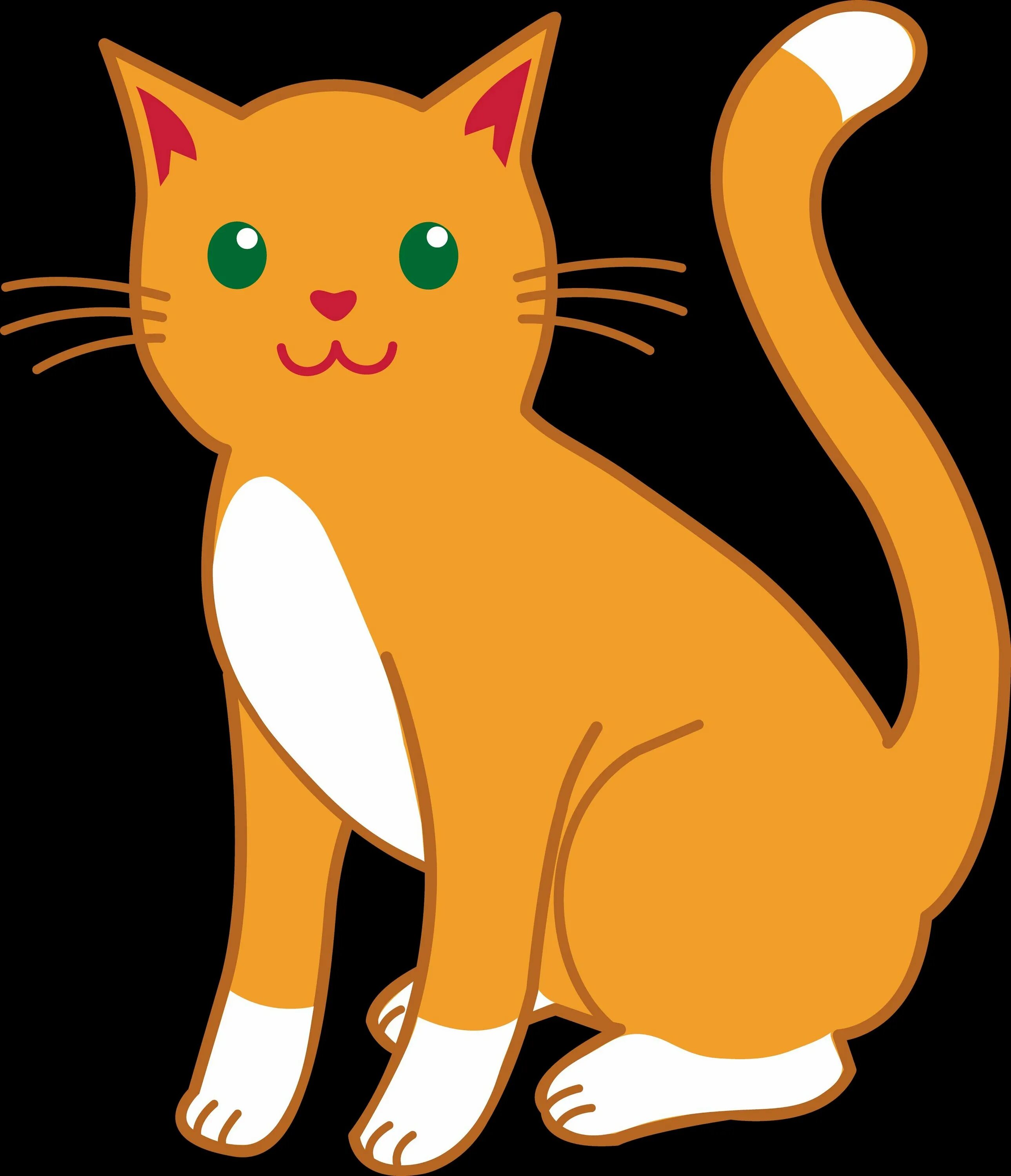 Cartoon cat reader. Мультяшные коты. кот рисунок. мультяшный кот картун cat. настоящий мультяшный кот.