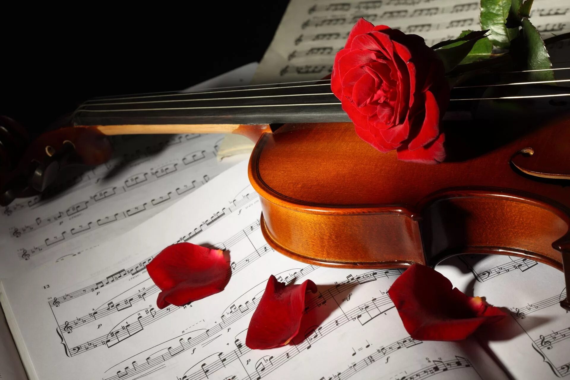 Музыкальные картинки. Красивые музыкальные картинки. Музыкальный вечер. Музыкальный цветок. Romance music