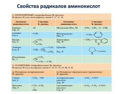Особенности радикала
