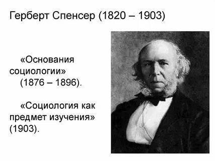 Социологическая теория спенсера