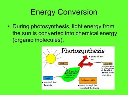 During conversion