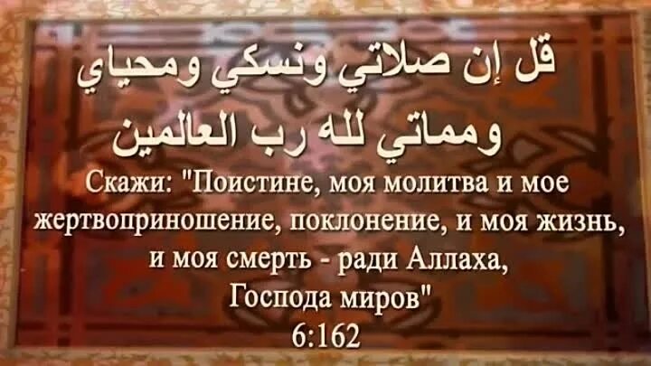 Рахматулла баракату. Во алейкум Салам ва РАХМАТУЛЛАХИ ва баракатух. Ассалам алейкум уа РАХМАТУЛЛАХИ. АС саляму алейкум уа РАХМАТУЛЛАХИ уа баракатуху. Ассаламу алейкум уа РАХМАТУЛЛАХИ баракатух.