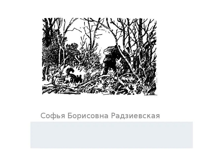 Болотные робинзоны. Глава болотные робинзоны. Радзиевская болотные робинзоны.