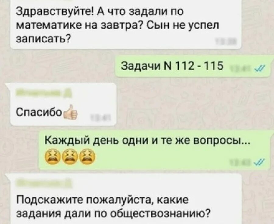 Разместить в родительский чат. Родительский чат. Смешные родительские чаты. Переписки в родительских чатах. Переписки родителей в ватсапе.