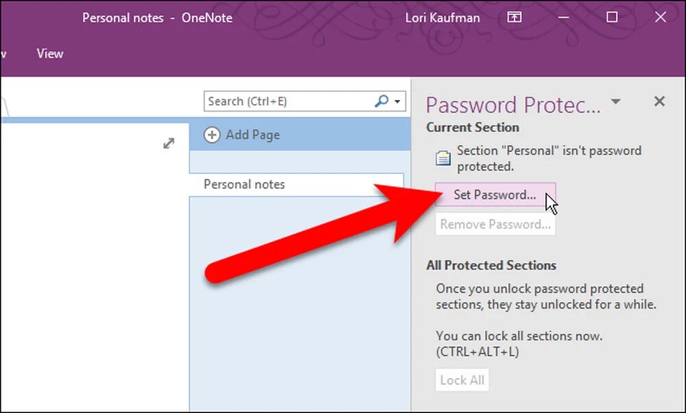 Password personal. ONENOTE заметки. Как поставить пароль на блокнот. Расширение книг ONENOTE. Как поставить пароль на записную книжку ONENOTE.