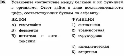 Тесты белки химия