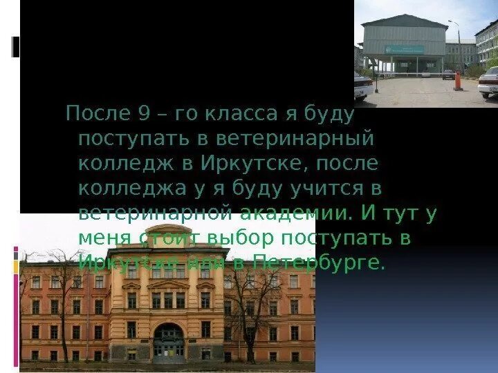 Ветеринарный колледж Уфа. Ветеринарный колледж после 9 класса. Уфа колледж Ветеринария. Колледжи Ветеринария после 9 класса.