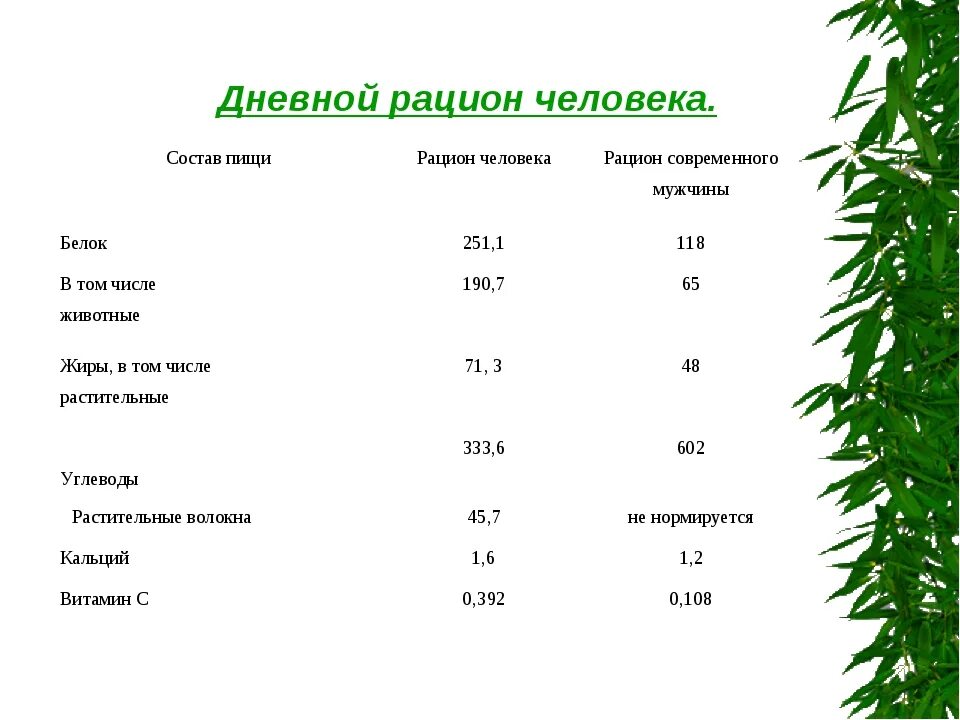 Составление дневного рациона. Суточный рацион питания взрослого человека. Составление дневного рациона питания. Составление суточного рациона питания.