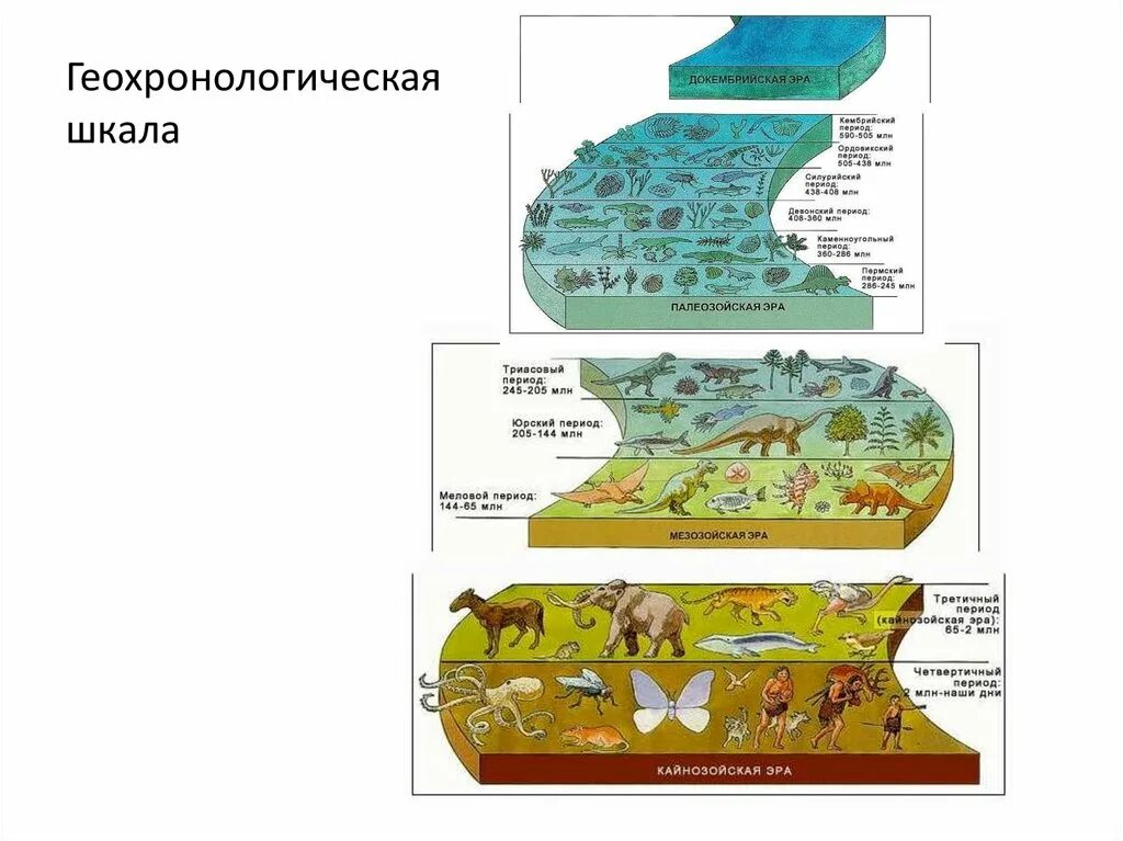 Органический мир нашей планеты подразделяется на. Периодизация истории земли.Геохронологическая шкала. Геологическая временная шкала истории земли. Шкала развития жизни на земле. Эволюция биосферы. Геохронологическая шкала..