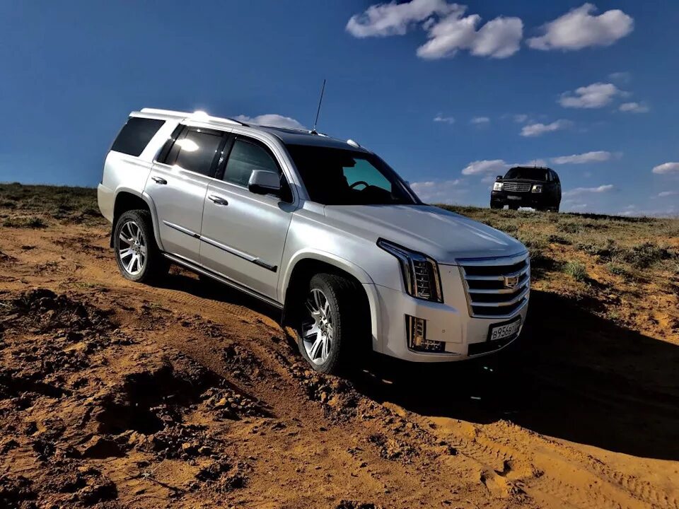 Cadillac Escalade. Cadillac Escalade 4g. Кадиллак Эскалейд белый. Cadillac Escalade 2015. Ала автомобиля