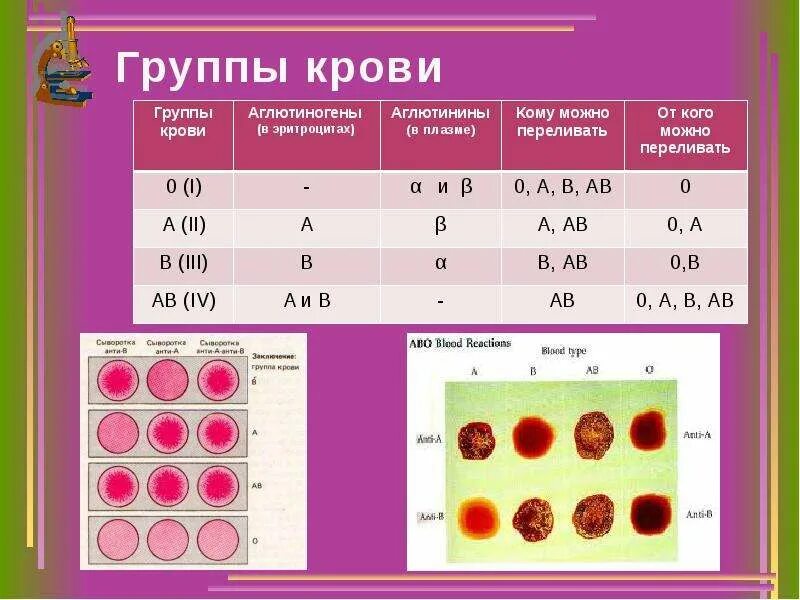 Группы крови человека и резус фактор. Кровь 1 отрицательной группы крови. Группы крови и резус-фактор таблица переливания. Группы крови схема переливания крови резус-фактор.