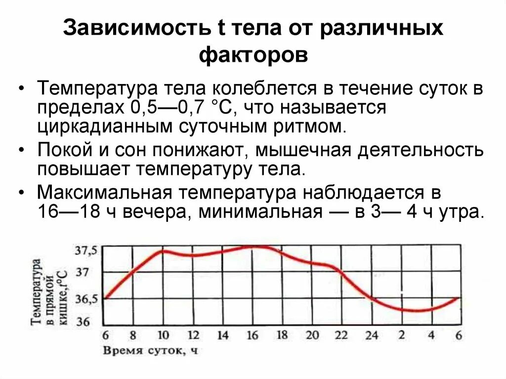 От чего зависит изменение температуры. График нормальной температуры тела. Суточное колебание температуры тела человека. График изменения температуры тела по часам. Температура тела в течение суток.