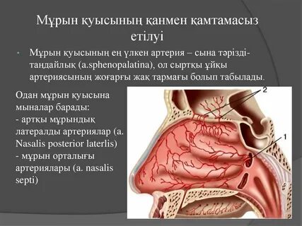 Чех көше секс онлайн