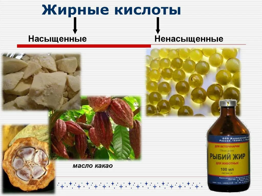 Насыщенные и ненасыщенные жирные кислоты в питании. Функции насыщенных и ненасыщенных жирных кислот в организме. Жиры содержащие насыщенные жирные кислоты. Основные насыщенные и ненасыщенные жирные кислоты организма.