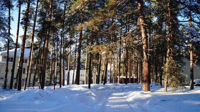 Алсма фото база отдыха Алсма база отдыха в Нижнем Новгороде на СКИДКОМ.РФ
