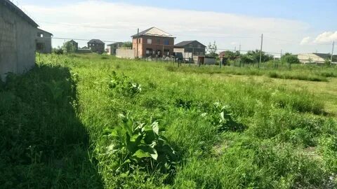 Редант краснодарский край