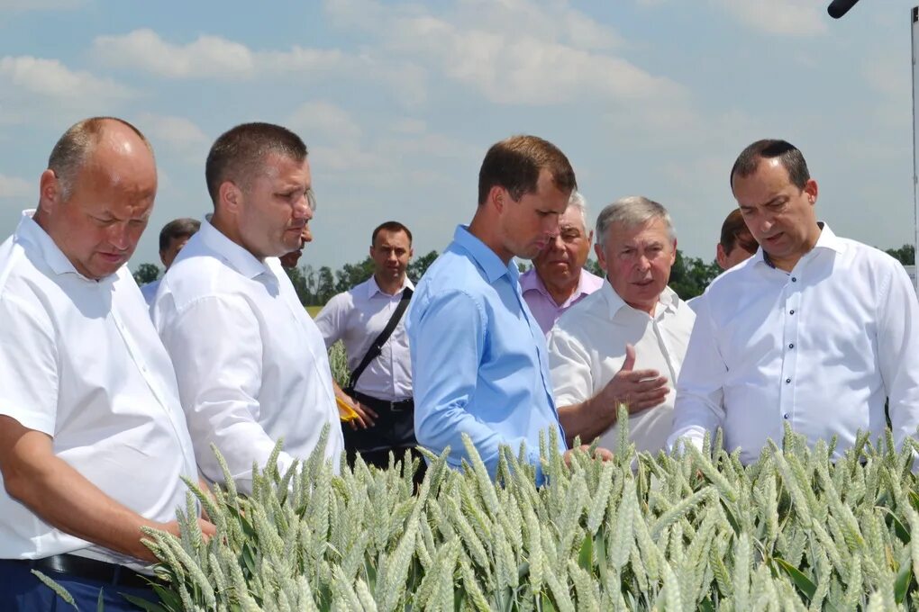 Кубок подсолнух звезда аграрий. Базис аграрий. Луцков аграрий. Оао аграрий. Оао аграрий.