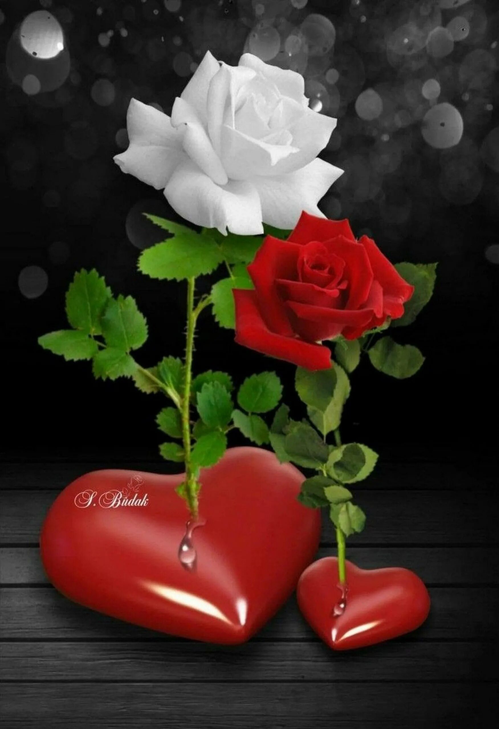 Признание в любви цветами. Цветы для любимой. Розы в сердце. "Цветы любви". Романтические цветы.