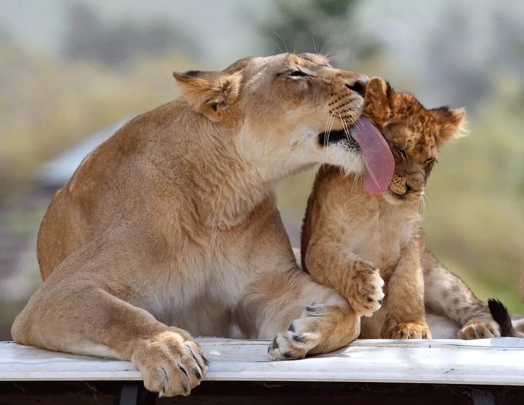 какой бы интересной