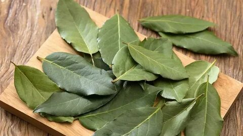 Лавровым листом можно похудеть