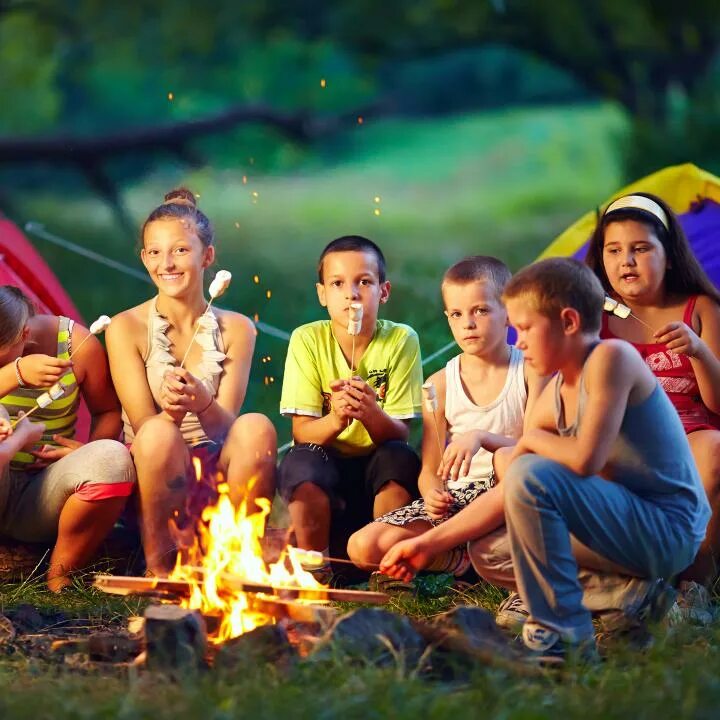 Camp hot. Энджой Кэмп елочки. Enjoy Camp детский лагерь. Лагерь enjoy Camp Домодедово. Веселые игры на пикнике.