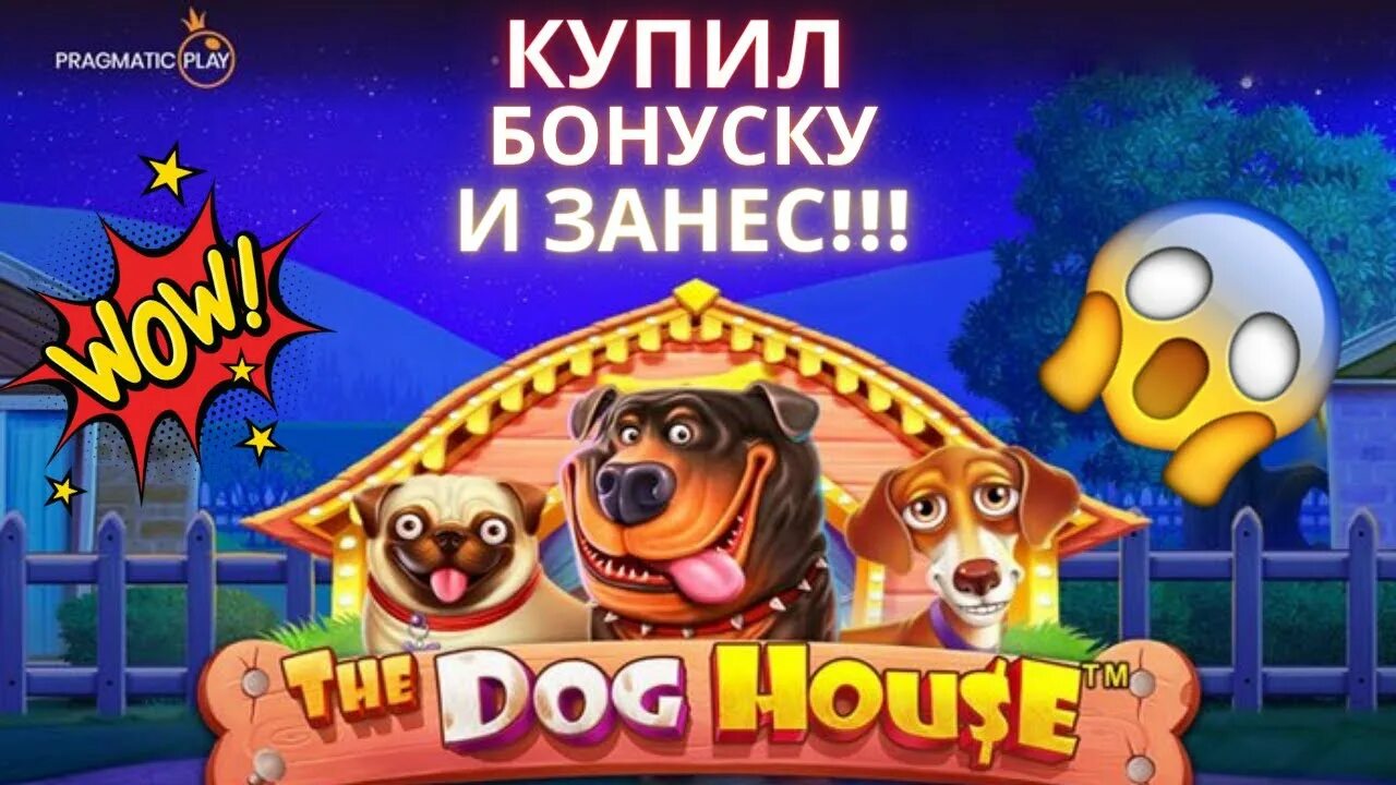 Dog house демо в рублях играть. Бонуска в Dog House. The Dog House выигрыш. Занос в the Dog House. Дог Хаус слот.