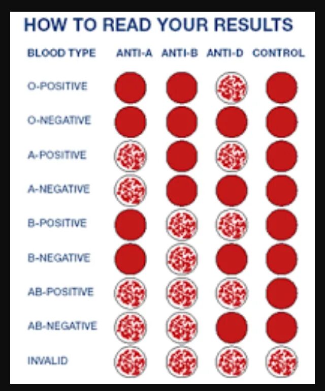 Blood group b. Abo blood group system. Type b кровь. Группа блуд. Blood type b.